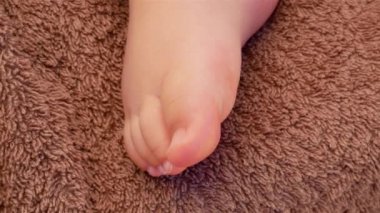 Bebek bacakları kahverengi bir paket üzerinde