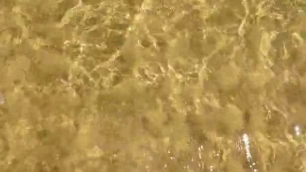 Causes sous l'eau — Video