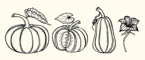 El çizimi balkabağı