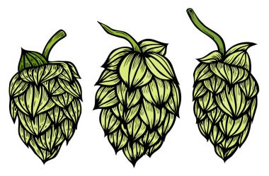 Stil oyma seti şerbetçiotu