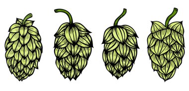 Stil oyma seti şerbetçiotu