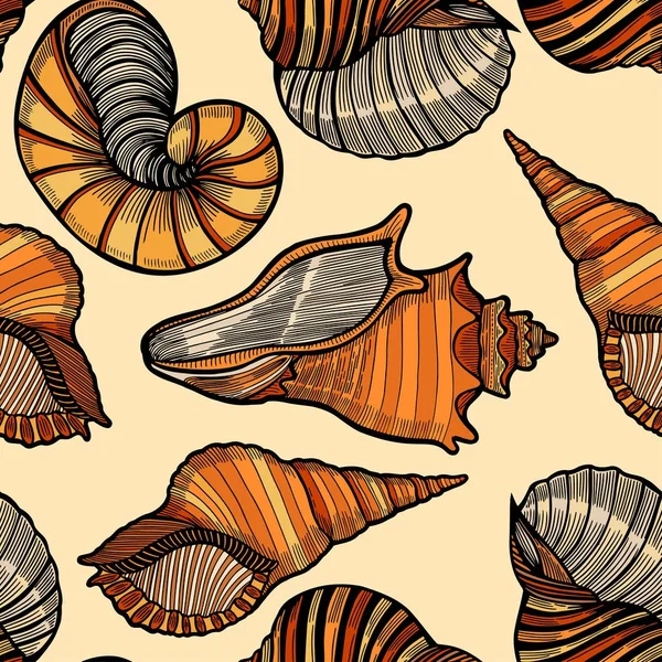 Modèle de coquilles de mer — Image vectorielle