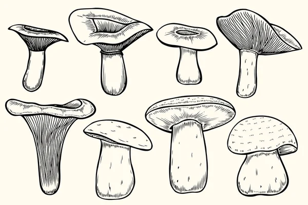 Conjunto de ilustrações de cogumelos — Vetor de Stock
