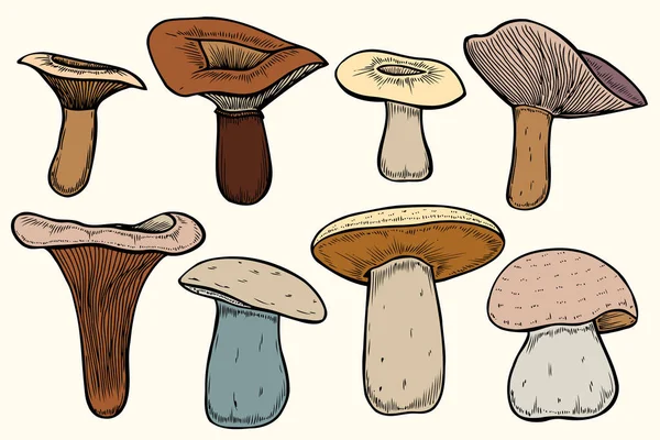 Conjunto de cogumelos florestais — Vetor de Stock