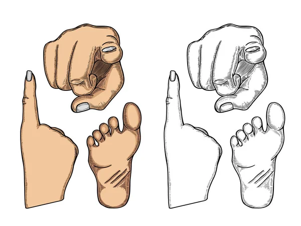 図記号を示す手. — ストックベクタ