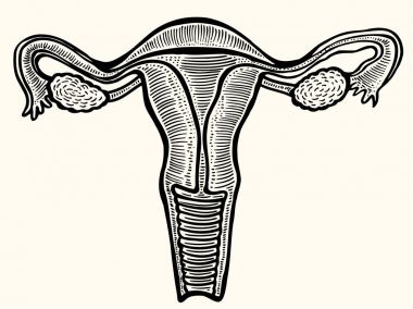 Kadın iç genital Kupası