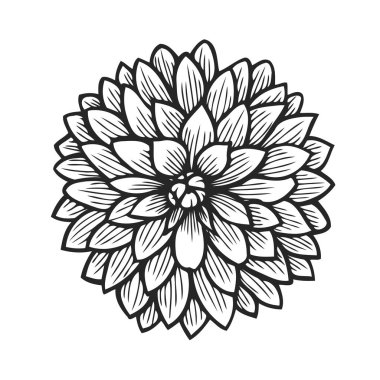 elle çizilmiş papatya