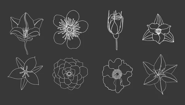 Hand getrokken schets bloemen — Stockvector