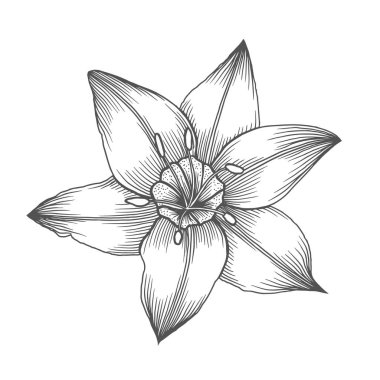 vintage bir tarzda çiçek