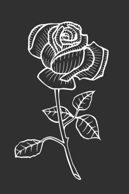 Gül çizimidelicada flor rosa