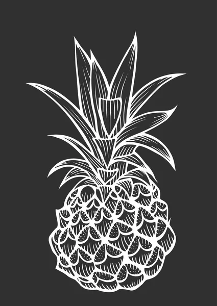 Vector hand drawn pineapple. — Stock Vector