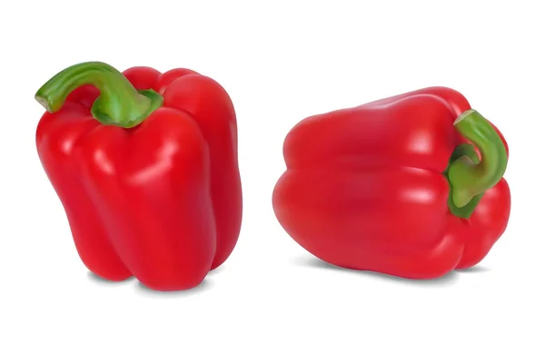 Red sweet pepper — Stock Vector