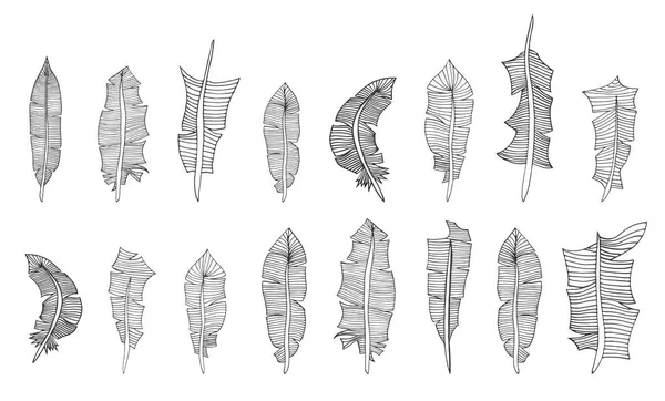 Zestaw piór rysowane ręcznie — Wektor stockowy