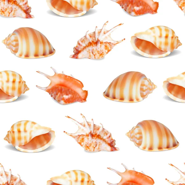 Seashell colección vector ilustración . — Vector de stock