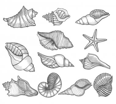 Çizilmiş vektör çizimler el