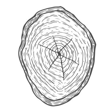 el çizilen illüstrasyon