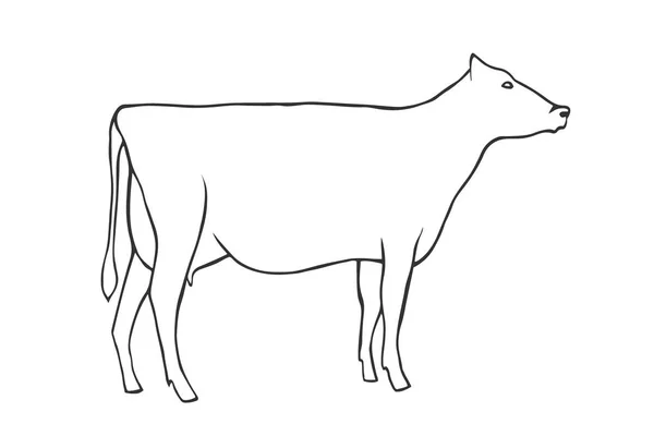 Tirage à la main vache — Image vectorielle