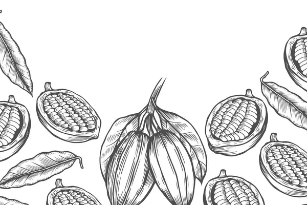 Plantilla Diseño Árbol Cacao Ilustración Estilo Grabado Chocolate Con Cacao — Archivo Imágenes Vectoriales