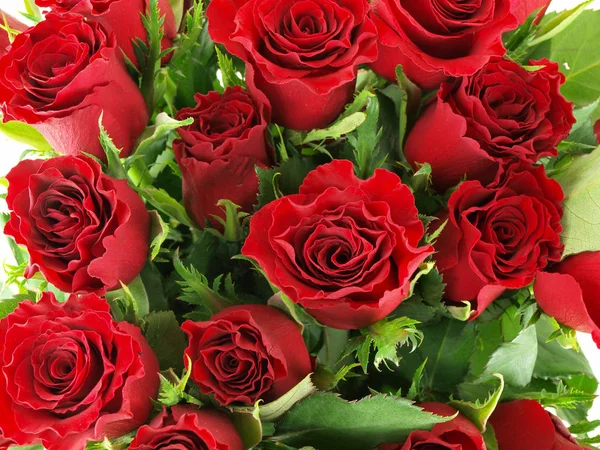 Background -  rose bouquet — Stock Photo, Image