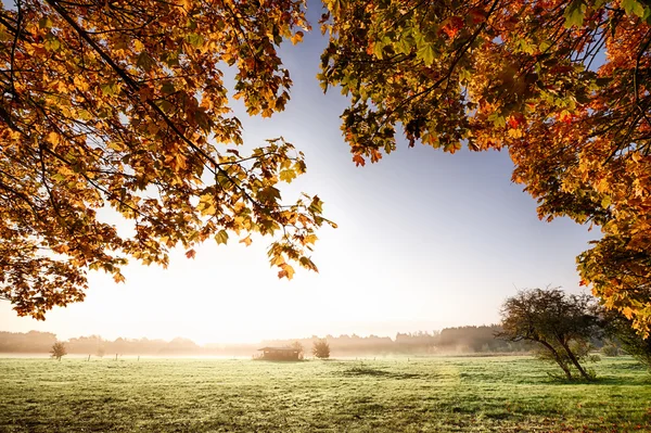 View though autumn leaves to sunrise — Stock Photo, Image