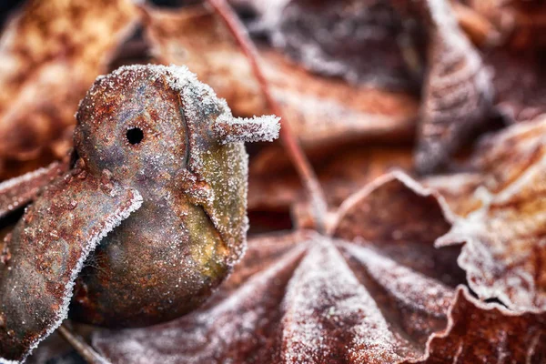 Cute frozen little bird and leaves — Stock Photo, Image