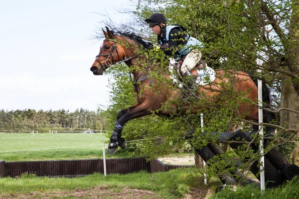 Burnham Market international horse trials 2017 — Stock Photo, Image