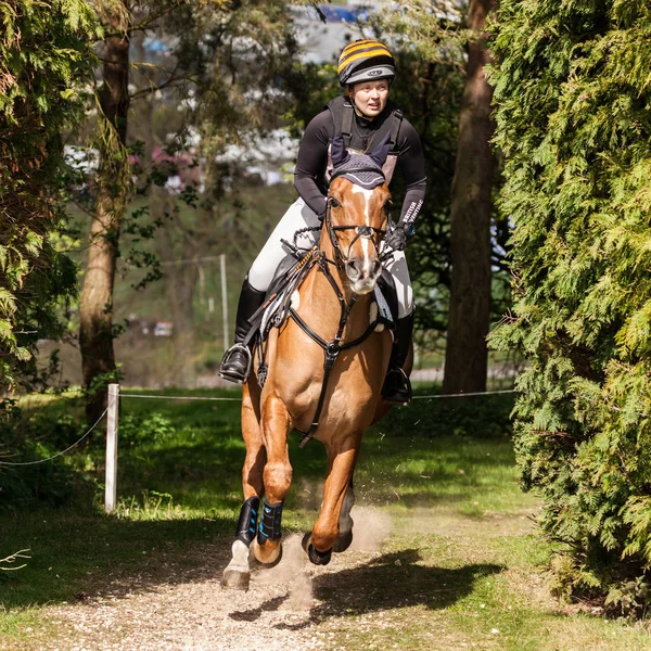 Burnham markt internationale paard proeven 2017 — Stockfoto