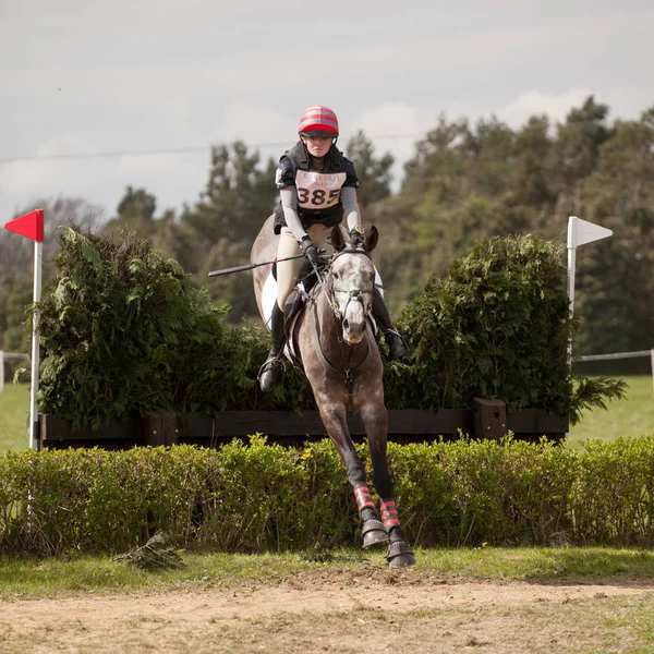 Burnham Market koń międzynarodowych badaniach 2017 — Zdjęcie stockowe