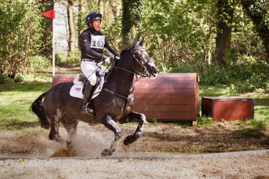 Burnham Market uluslararası at denemeler 2017