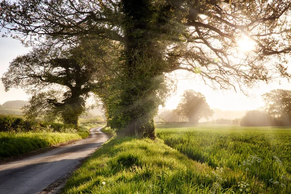 Route de campagne anglaise et lever du soleil — Photo