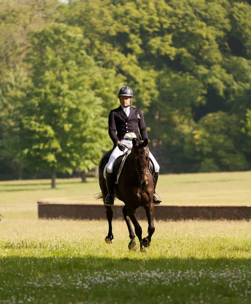 Houghton internationale paard proeven mei 2017 — Stockfoto