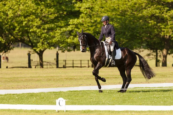 Houghton internationale paard proeven mei 2017 — Stockfoto