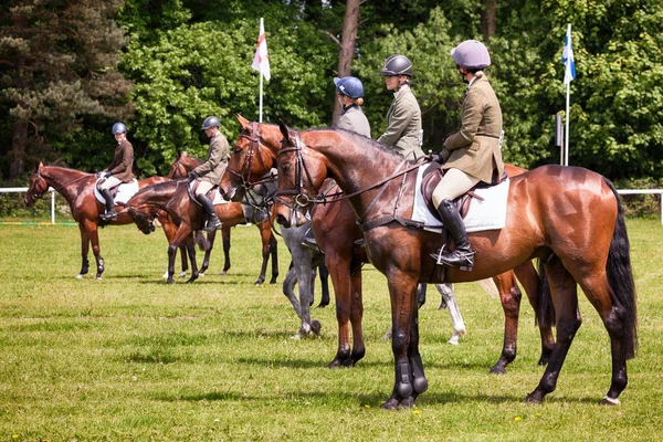 Houghton internationale paard proeven mei 2017 — Stockfoto