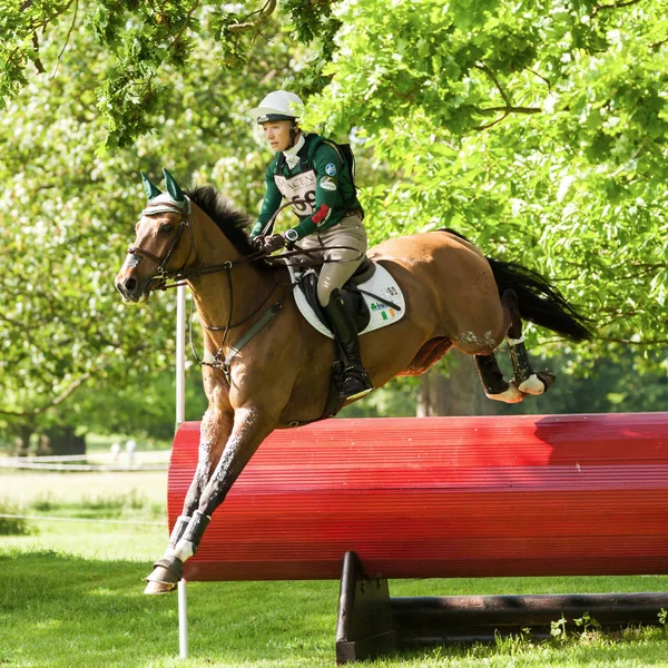 Houghton nemzetközi ló vizsgálatok krisztian Clark lovaglás Colorfast — Stock Fotó