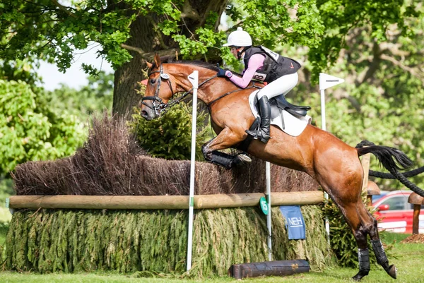 Houghton internacional cavalo ensaios Becky Woolven equitação Dhi Bab — Fotografia de Stock