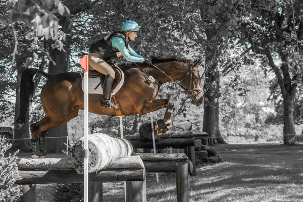 Ensayos a caballo internacionales de Houghton Chloe Lynn cabalgando Calzini —  Fotos de Stock