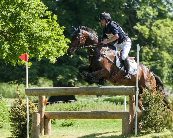 Houghton international horse prób Greg Kinsella jazda Watermi — Zdjęcie stockowe