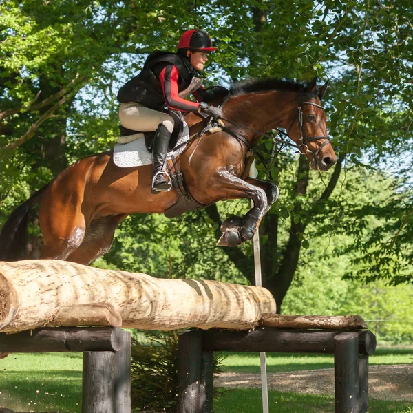 Houghton international horse prób Loretta Joynson jazda Psh C — Zdjęcie stockowe