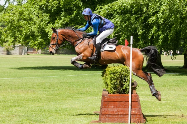 Houghton international horse trials Tim Cheffings riding Jazz Ma — Stock Photo, Image