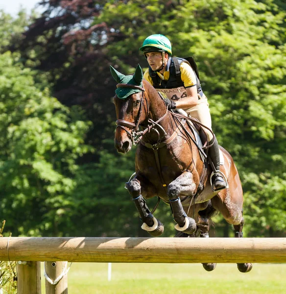 ホートン国際馬試験ガブリエル Cury フィニアスに乗って — ストック写真