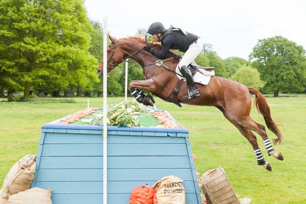 ホートン国際馬試験 2017年 5 月 — ストック写真