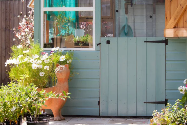 Trädgårdsmästare paradis växande växter och blommor — Stockfoto