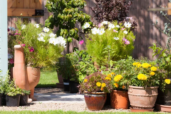 Jardineros paraíso cultivando plantas y flores — Foto de Stock