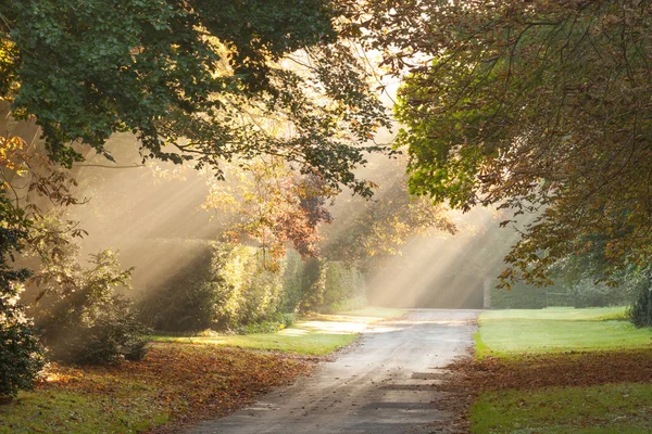 Estrada rural com eixos de luz matinal — Fotografia de Stock