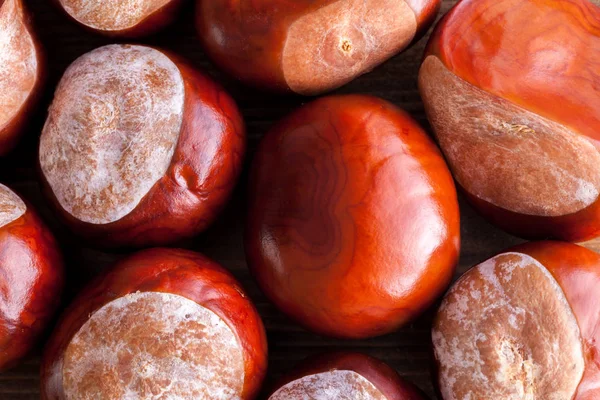 Conker pile close up view — Stock Photo, Image