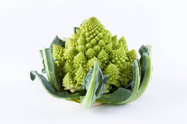 Romanesco brokoli sebze üzerinde beyaz izole