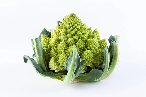 Romanesco Brokkoli Gemüse isoliert auf weiß — Stockfoto