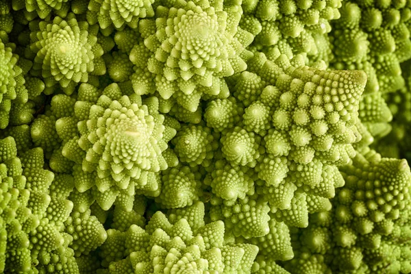 Romanesco Brokkoli Gemüse aus nächster Nähe — Stockfoto