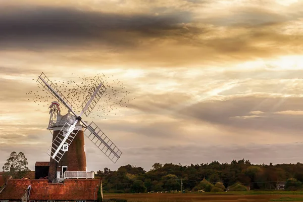 Norfolkin tuulimylly lintuparven kanssa auringonlaskun aikaan — kuvapankkivalokuva