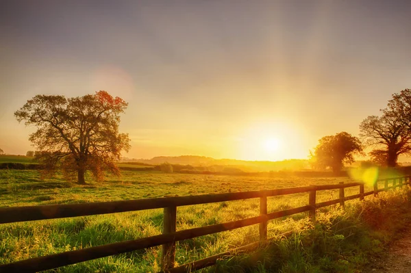Сільський схід сонця над обгородженим полем — стокове фото
